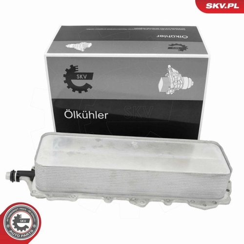 ESEN SKV &Ouml;lk&uuml;hler, Motor&ouml;l 31SKV361