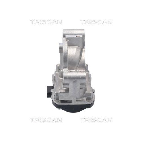 TRISCAN AGR-Ventil 8813 10056