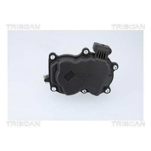 TRISCAN AGR-Ventil 8813 29116