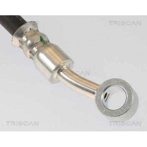 TRISCAN Bremsschlauch 8150 40181