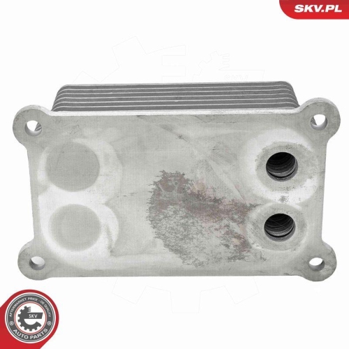 ESEN SKV &Ouml;lk&uuml;hler, Motor&ouml;l