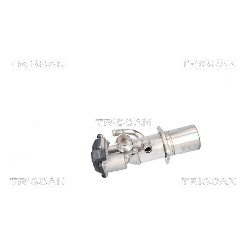 TRISCAN AGR-Ventil 8813 29117