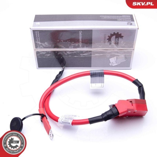 ESEN SKV Batterieadapter 96SKV303