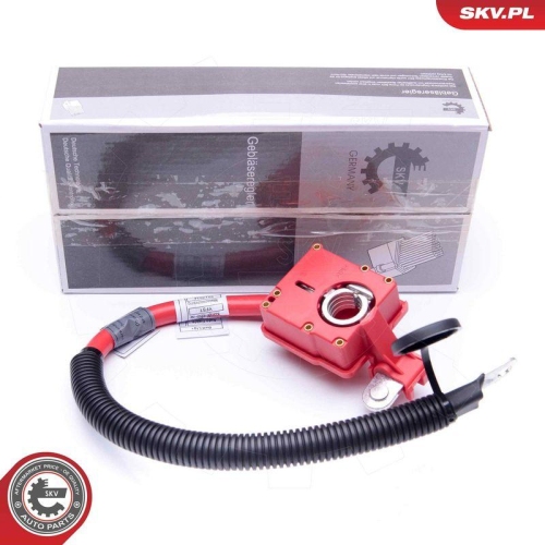 ESEN SKV Batterieadapter 96SKV304