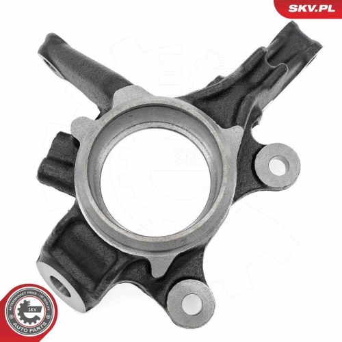 ESEN SKV Achsschenkel, Radaufh&auml;ngung