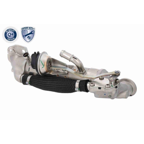 VEMO K&uuml;hler, Abgasr&uuml;ckf&uuml;hrung EXPERT KITS + V25-63-0076