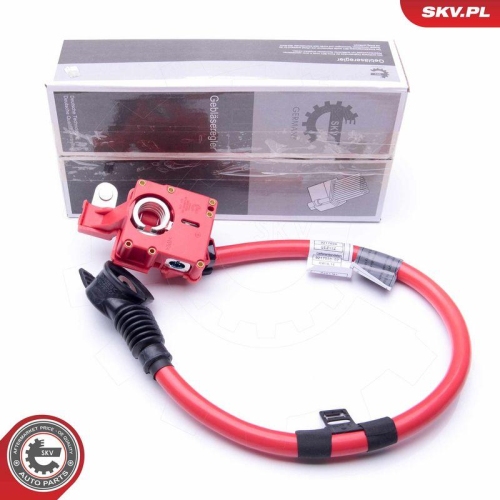 ESEN SKV Batterieadapter 96SKV306