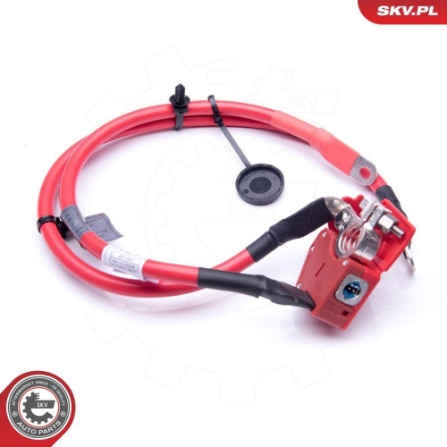 ESEN SKV Batterieadapter 96SKV307