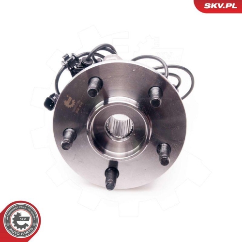 ESEN SKV Radlagersatz 29SKV099