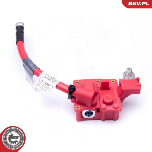 ESEN SKV Batterieadapter 96SKV309