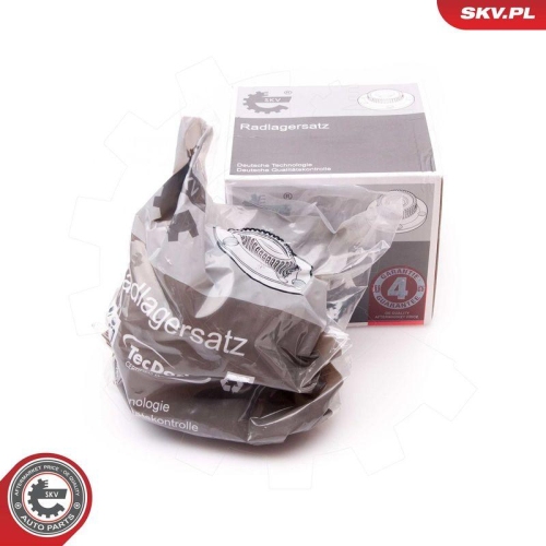 ESEN SKV Radlagersatz 29SKV100