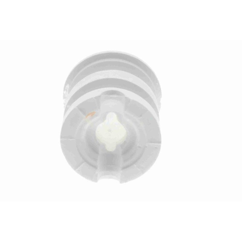 VAICO Anschlagpuffer, Federung Original VAICO Qualität V20-6100-1