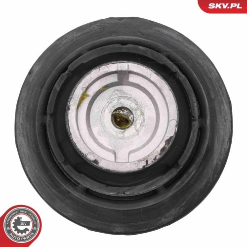 ESEN SKV Lagerung, Motor 75SKV001