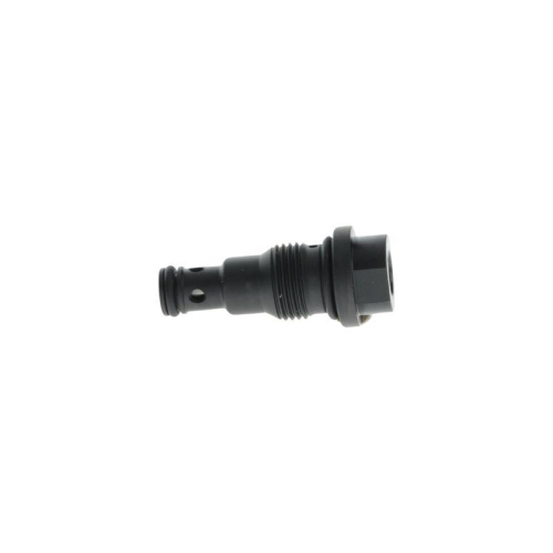 BOSCH Druckbegrenzungsventil, Common-Rail-System F 00N 210 255