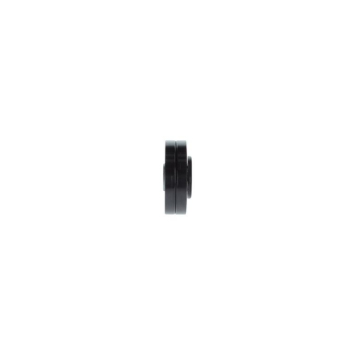 BOSCH Riemenspanner, Keilrippenriemen 1 987 600 432