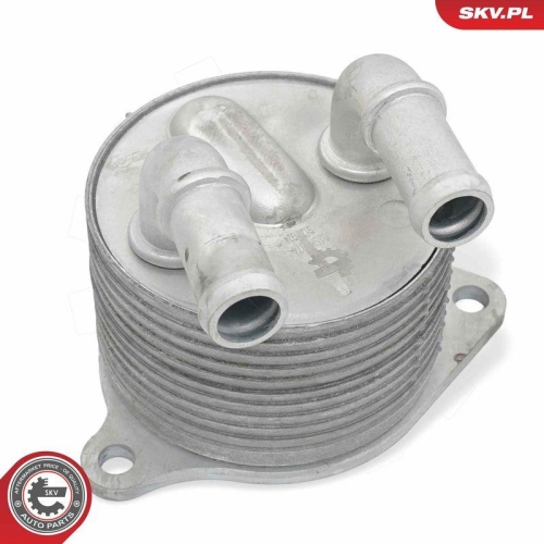 ESEN SKV &Ouml;lk&uuml;hler, Motor&ouml;l 31SKV374