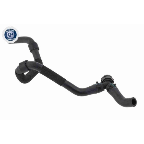 VAICO K&uuml;hlerschlauch Q+, Erstausr&uuml;sterqualit&auml;t V10-6913