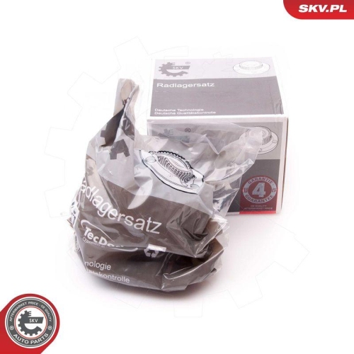 ESEN SKV Radlagersatz 29SKV109