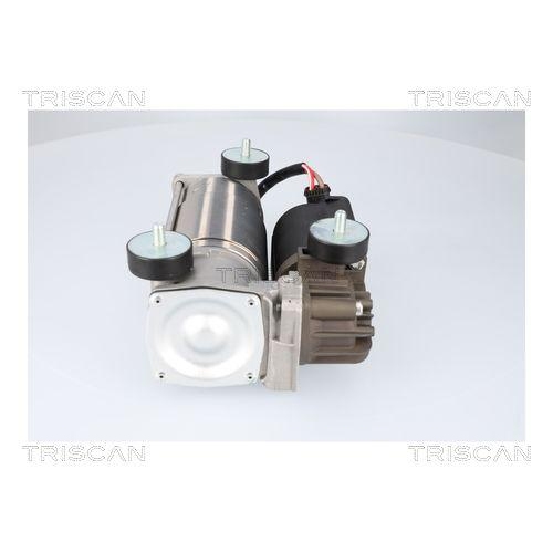 TRISCAN Kompressor, Druckluftanlage 8725 15001