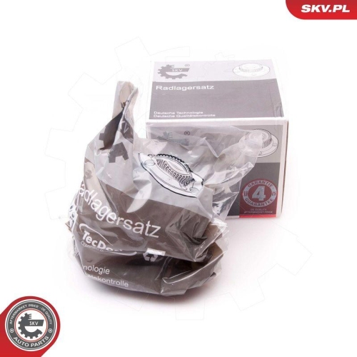 ESEN SKV Radlagersatz 29SKV113