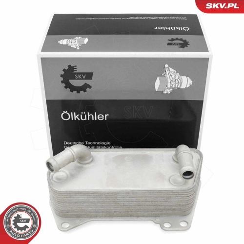 ESEN SKV &Ouml;lk&uuml;hler, Automatikgetriebe 31SKV317