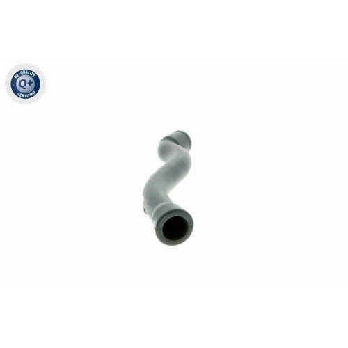 VAICO Schlauch, Kurbelgehäuseentlüftung Q+, Erstausrüsterqualität V10-2938