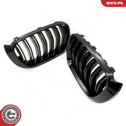 ESEN SKV Kühlergitter