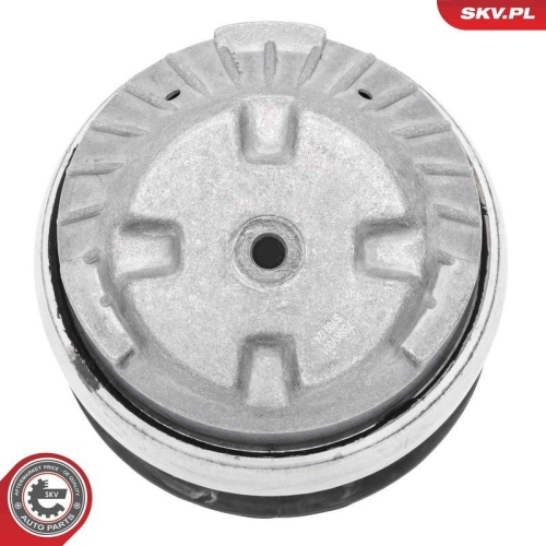 ESEN SKV Lagerung, Motor