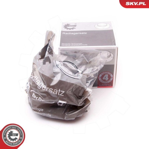 ESEN SKV Radlagersatz 29SKV117
