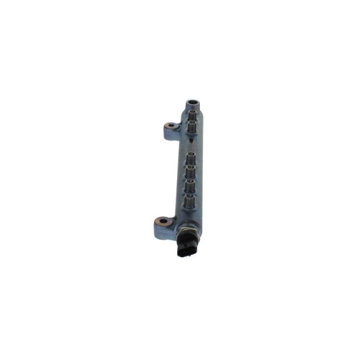 BOSCH Verteilerrohr, Kraftstoff 0 445 224 071