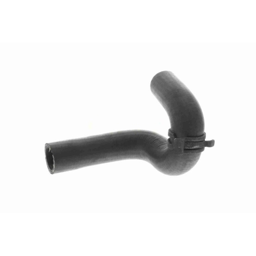 VAICO K&uuml;hlerschlauch Original VAICO Qualit&auml;t V30-4222