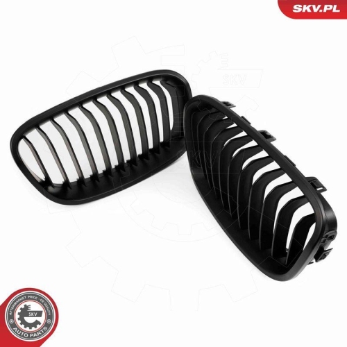 ESEN SKV Kühlergitter