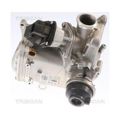 TRISCAN AGR-Ventil 8813 29013