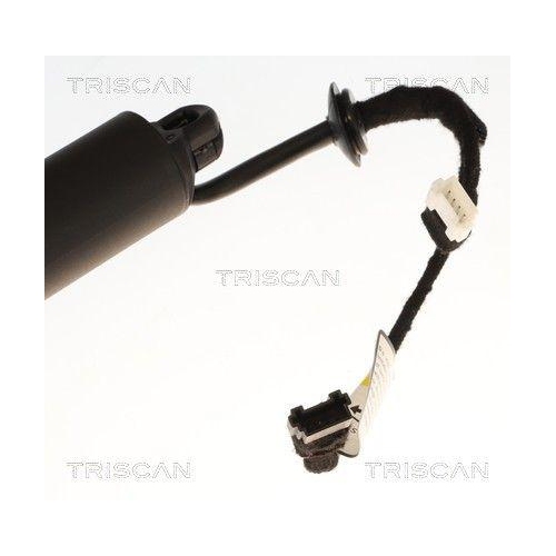 TRISCAN Gasfeder, Koffer-/Laderaum 8710 11371