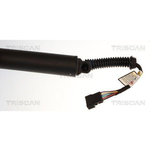 TRISCAN Gasfeder, Koffer-/Laderaum 8710 11372