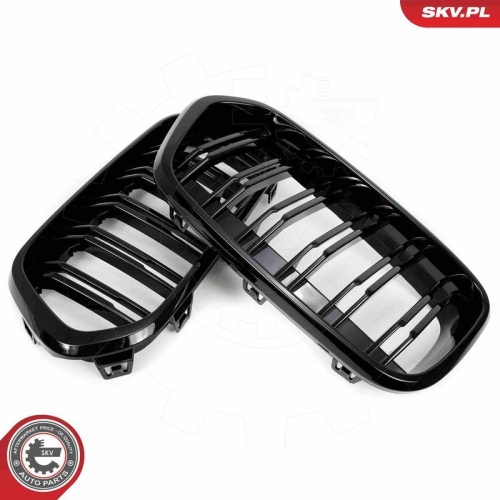 ESEN SKV Kühlergitter