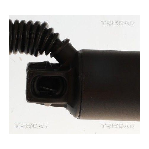 TRISCAN Gasfeder, Koffer-/Laderaum 8710 11374