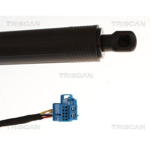 TRISCAN Gasfeder, Koffer-/Laderaum 8710 23319