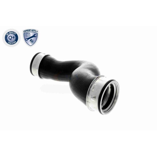 VAICO Ladeluftschlauch EXPERT KITS +