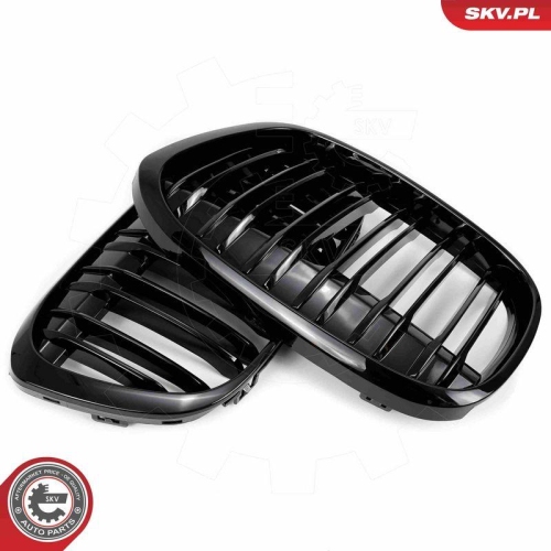 ESEN SKV Kühlergitter