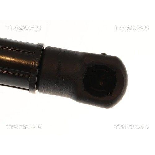 TRISCAN Gasfeder, Koffer-/Laderaum 8710 11376