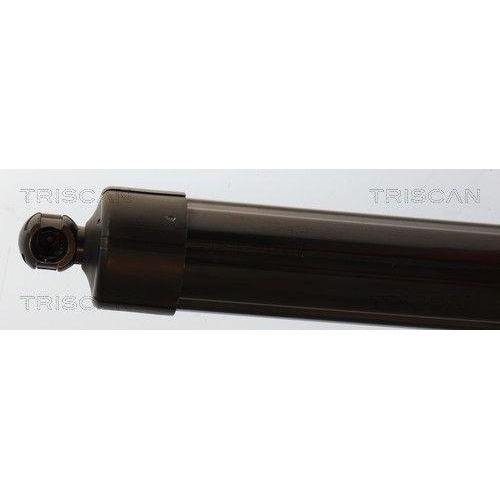 TRISCAN Gasfeder, Koffer-/Laderaum 8710 38301