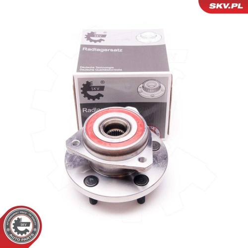 ESEN SKV Radlagersatz 29SKV129