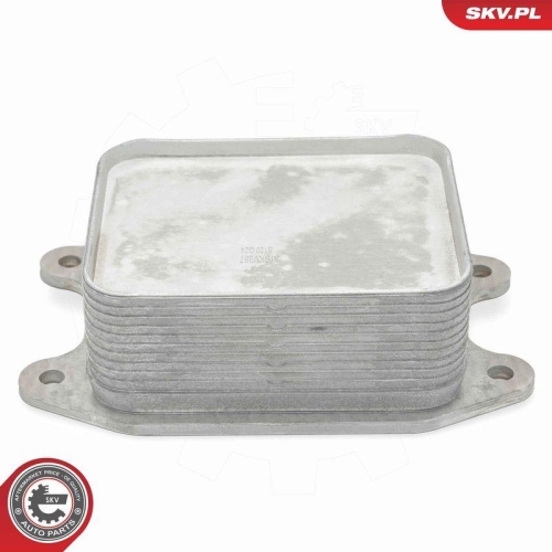 ESEN SKV &Ouml;lk&uuml;hler, Motor&ouml;l 31SKV287