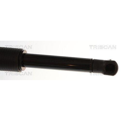 TRISCAN Gasfeder, Koffer-/Laderaum 8710 11377