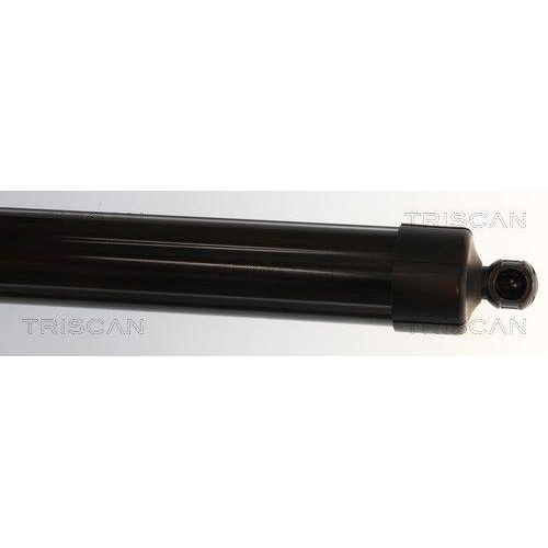TRISCAN Gasfeder, Koffer-/Laderaum 8710 38302