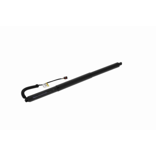 ACKOJA Elektromotor, Heckklappe Green Mobility Parts