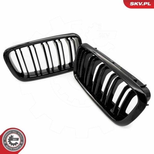ESEN SKV Kühlergitter