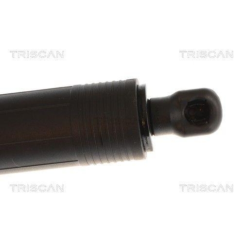 TRISCAN Gasfeder, Koffer-/Laderaum 8710 11379