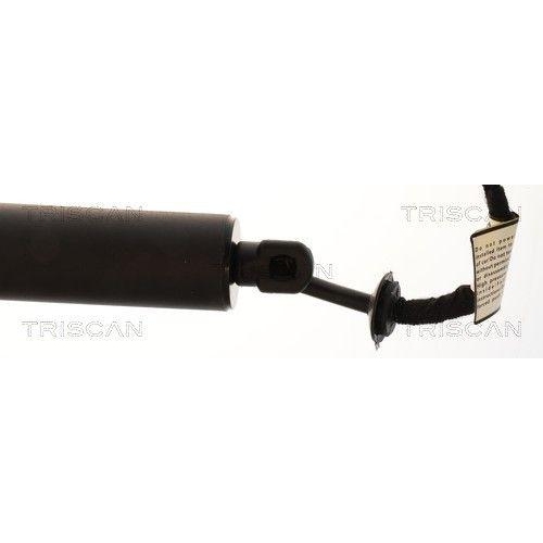 TRISCAN Gasfeder, Koffer-/Laderaum 8710 11380